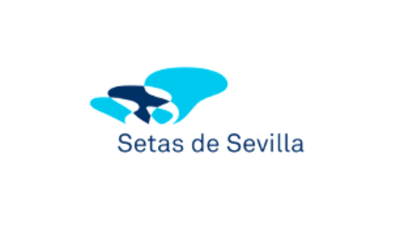 Setas de Sevilla